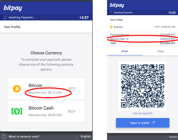 Frequently Asked Questions About BitPay and Payment Protocol (BIP70)