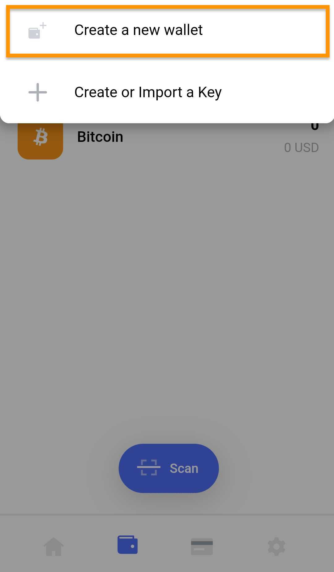 bitpay wallet test