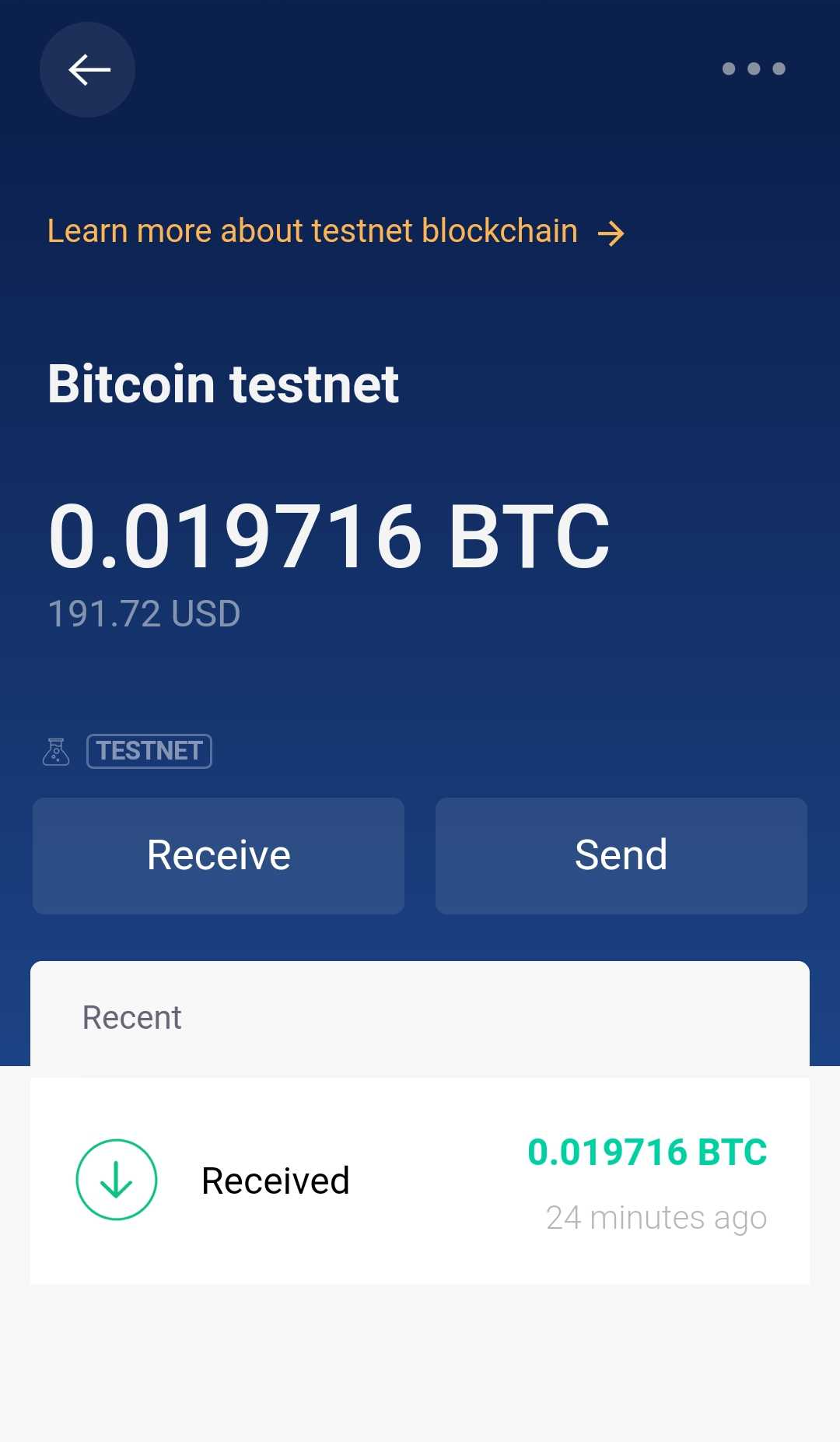 btc testnet wallet