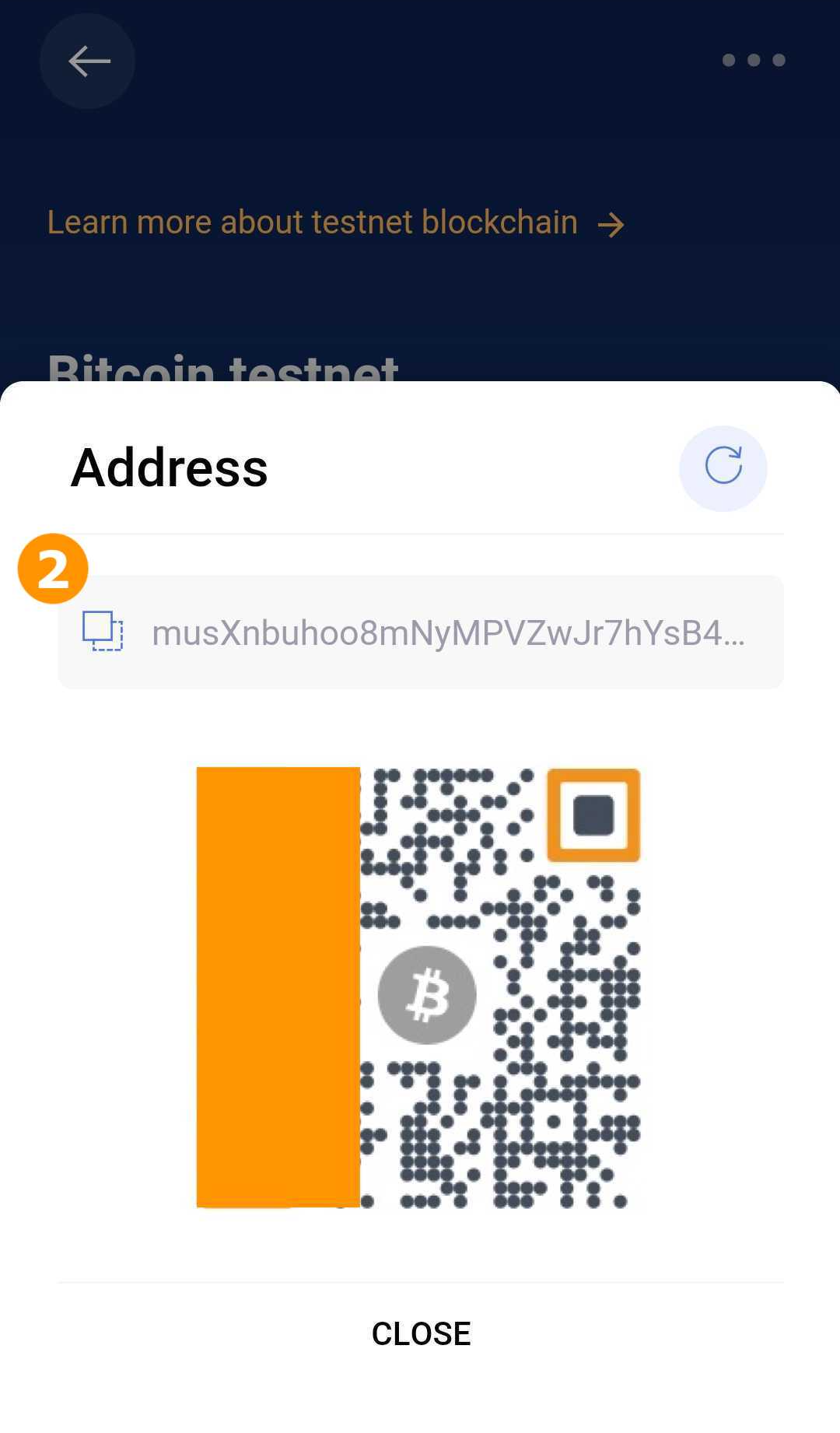 bitpay support