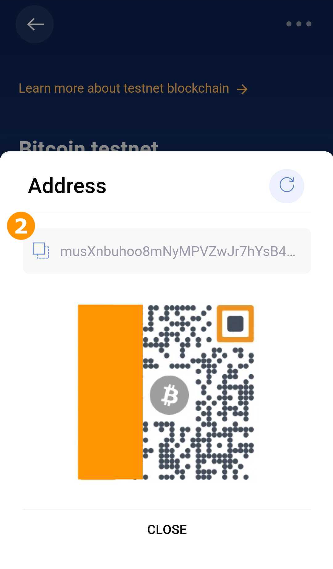 bitcoinjs how to get litecoin testnet address