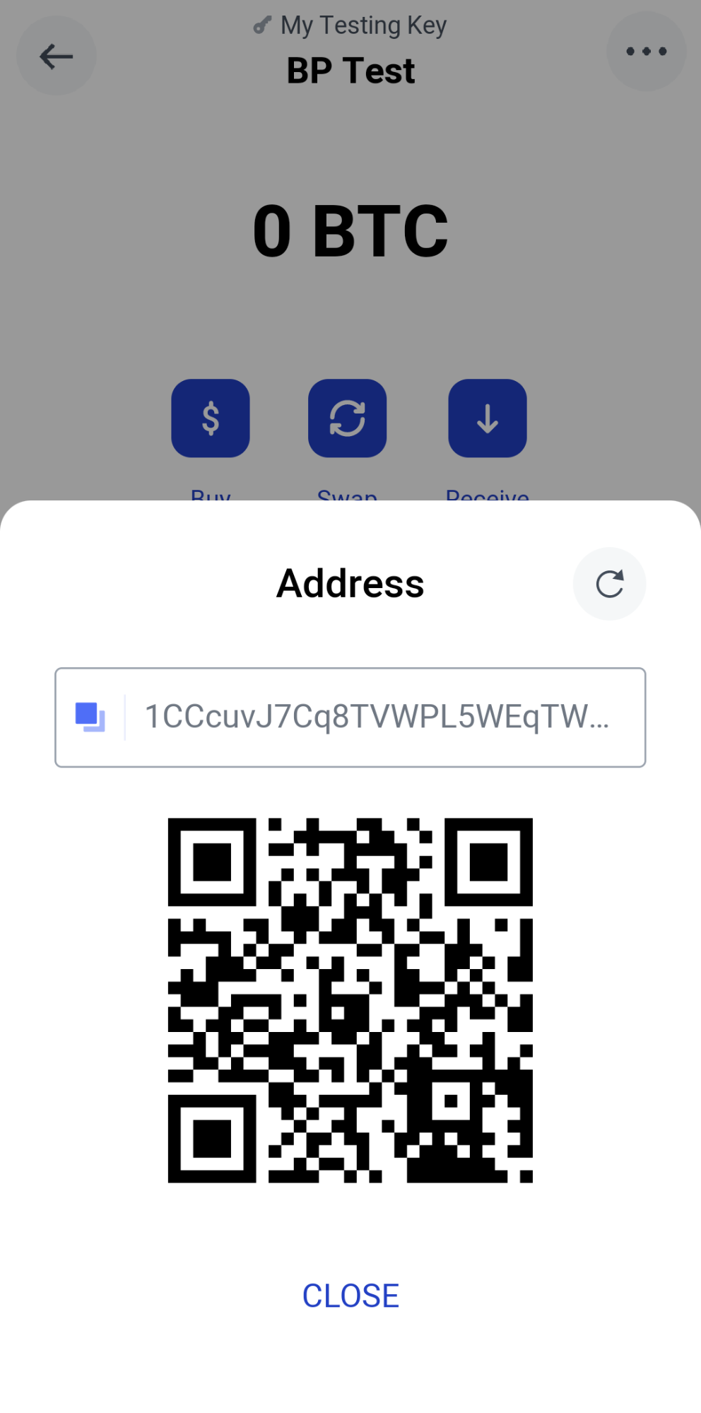 add bitcoin to bitpay wallet